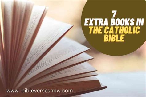 How Many Extra Books Are in the Catholic Bible: A Deep Dive into the Topic